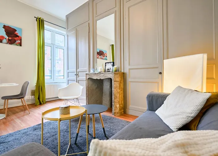 Apartment Joli En Hypercentre Lille