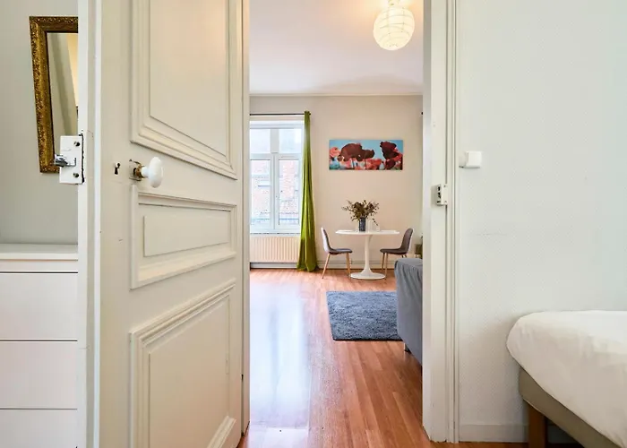 Joli En Hypercentre Apartment