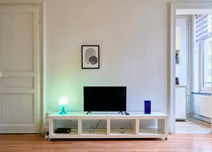 Apartment Joli En Hypercentre Lille